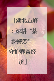 湖北五峰：深耕“茶乡警务” 守护春茶经济