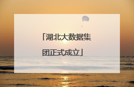 湖北大数据集团正式成立