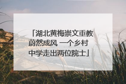湖北黄梅崇文重教蔚然成风 一个乡村中学走出两位院士