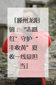 滕州龙阳镇：“志愿红”守护“丰收黄”夏收一线显担当