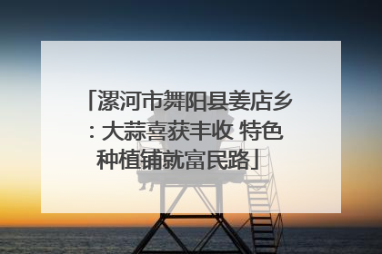 漯河市舞阳县姜店乡：大蒜喜获丰收 特色种植铺就富民路