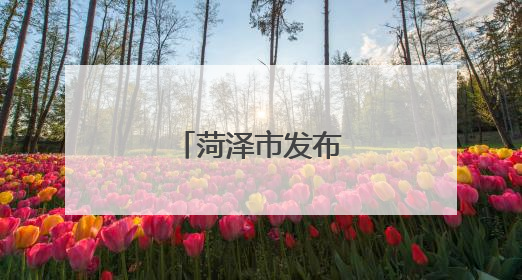 菏泽市发布人事任免