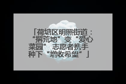 荷塘区明照街道：“撂荒地”变“爱心菜园” 志愿者携手种下“增收希望”