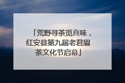 荒野寻茶觅真味，红安县第九届老君眉茶文化节启幕