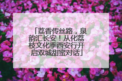荔香传丝路，泉韵汇长安！从化荔枝文化季西安行开启双城甜蜜对话