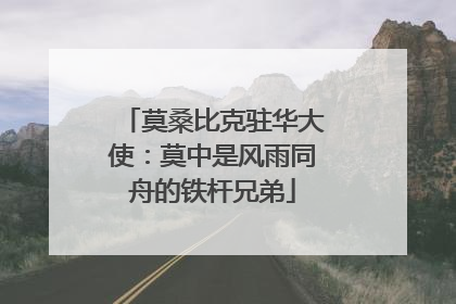 莫桑比克驻华大使：莫中是风雨同舟的铁杆兄弟