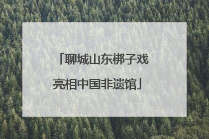 聊城山东梆子戏亮相中国非遗馆