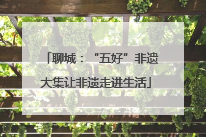 聊城：“五好”非遗大集让非遗走进生活