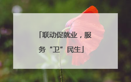 联动促就业，服务“卫”民生