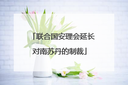联合国安理会延长对南苏丹的制裁