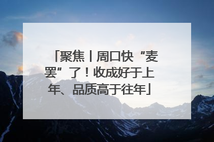 聚焦丨周口快“麦罢”了！收成好于上年、品质高于往年
