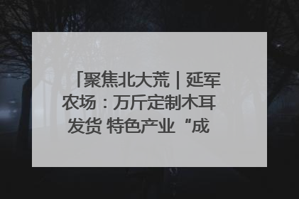 聚焦北大荒｜延军农场：万斤定制木耳发货 特色产业“成绩单”亮眼
