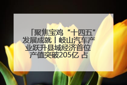 聚焦宝鸡“十四五”发展成就丨岐山汽车产业跃升县域经济首位 产值突破205亿 占规上工业75%