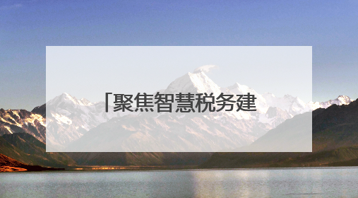 聚焦智慧税务建设、国际税收治理 29名非洲财税官湖南取经