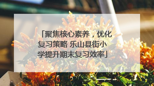 聚焦核心素养，优化复习策略 乐山县街小学提升期末复习效率