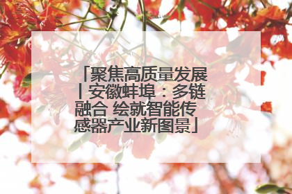 聚焦高质量发展丨安徽蚌埠：多链融合 绘就智能传感器产业新图景