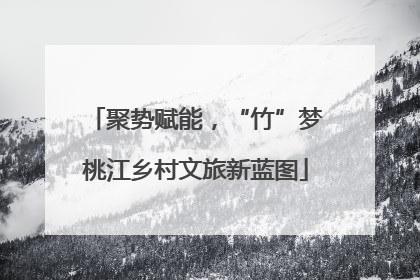 聚势赋能，“竹”梦桃江乡村文旅新蓝图