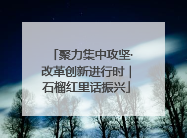 聚力集中攻坚·改革创新进行时｜石榴红里话振兴