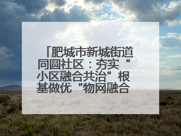 肥城市新城街道同圆社区：夯实“小区融合共治”根基做优“物网融合一家亲”品牌