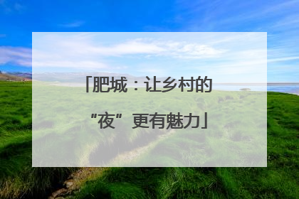 肥城：让乡村的“夜”更有魅力