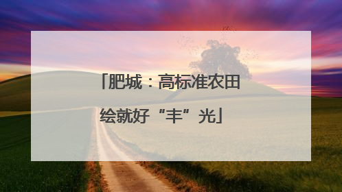 肥城：高标准农田绘就好“丰”光