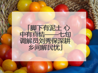 脚下有泥土 心中有真情——七旬调解员刘秀保深耕乡间解民忧