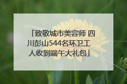 致敬城市美容师 四川彭山544名环卫工人收到端午大礼包