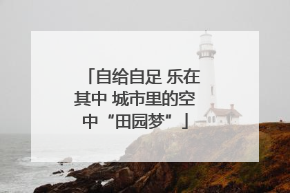 自给自足 乐在其中 城市里的空中“田园梦”
