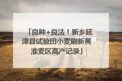 良种+良法！新乡延津县试验田小麦刷新黄淮麦区高产记录
