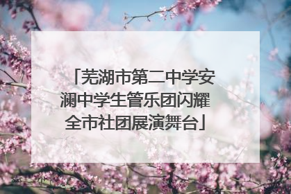 芜湖市第二中学安澜中学生管乐团闪耀全市社团展演舞台