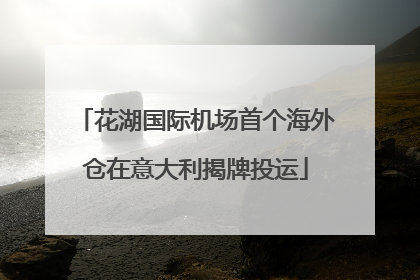 花湖国际机场首个海外仓在意大利揭牌投运
