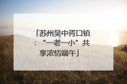 苏州吴中胥口镇：“一老一小”共享浓情端午