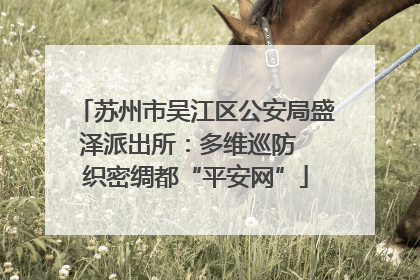 苏州市吴江区公安局盛泽派出所:多维巡防 织密绸都“平安网”