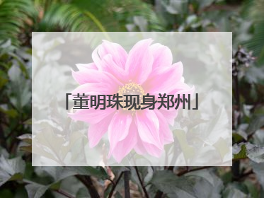 董明珠现身郑州