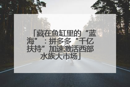 藏在鱼缸里的“蓝海”：拼多多“千亿扶持”加速激活西部水族大市场