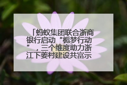 蚂蚁集团联合浙商银行启动“栀梦行动”，三个维度助力浙江下姜村建设共富示范区示范点