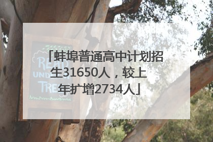 蚌埠普通高中计划招生31650人，较上年扩增2734人