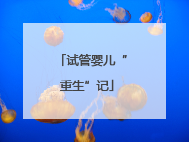 试管婴儿“重生”记