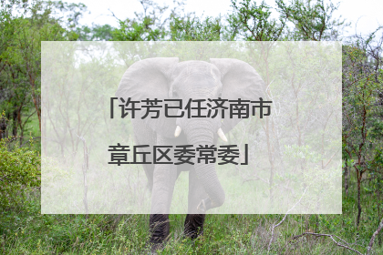 许芳已任济南市章丘区委常委