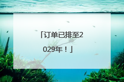 订单已排至2029年！
