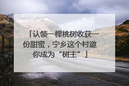 认领一棵桃树收获一份甜蜜，宁乡这个村邀你成为“树主”