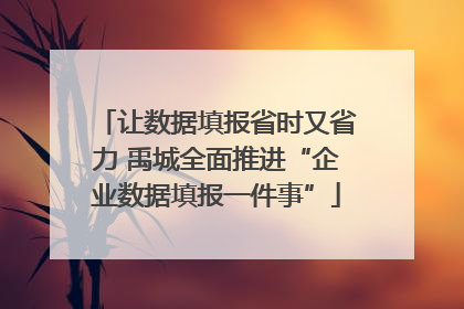 让数据填报省时又省力 禹城全面推进“企业数据填报一件事”
