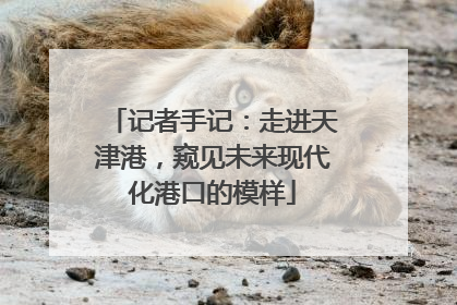 记者手记：走进天津港，窥见未来现代化港口的模样