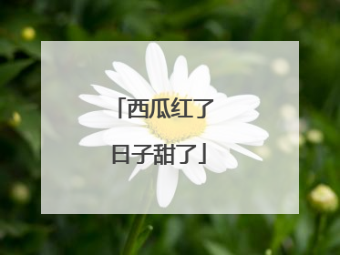 西瓜红了 日子甜了