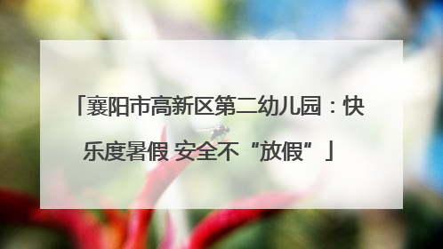 襄阳市高新区第二幼儿园：快乐度暑假 安全不“放假”