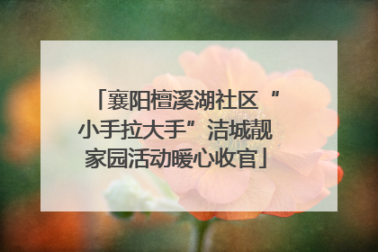 襄阳檀溪湖社区“小手拉大手”洁城靓家园活动暖心收官