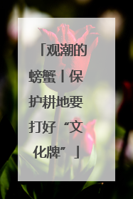 观潮的螃蟹丨保护耕地要打好“文化牌”