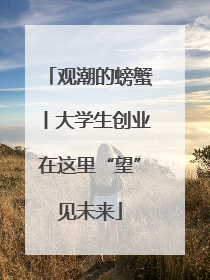 观潮的螃蟹丨大学生创业在这里“望”见未来