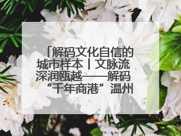 解码文化自信的城市样本丨文脉流深润瓯越——解码“千年商港”温州的文化自信样本