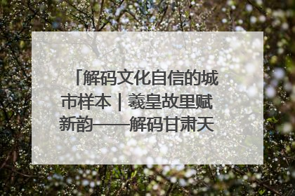 解码文化自信的城市样本｜羲皇故里赋新韵——解码甘肃天水的文化自信样本
